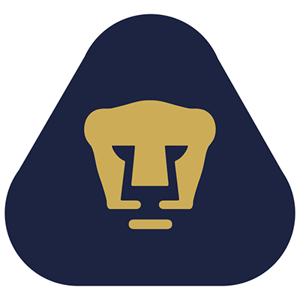 藍(lán)十字